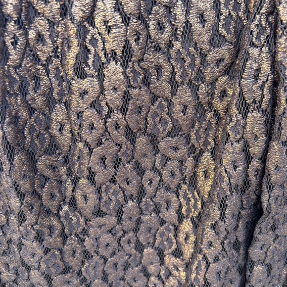 NWT Carlisle Collection Metallic Lace Embroidered Long Sleeve Blouse Sz 8 - Picture 4 of 7